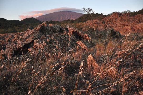 escursione-etna-tramonto548099B4-ADA0-57E0-798A-7519C22AFFCF.jpg