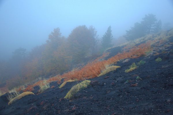 paesaggio-etna-erscursioni-siciliaA4D0FED8-F059-E6E9-0A5C-0D9D41320AA0.jpg